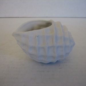 Illuminations Decor White Ceramic Conch Sea Shell